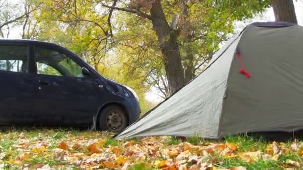 Tienda de campaña en bosque de otoño . — Vídeo de stock