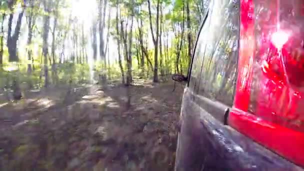 Bil som kör genom landsbygden i djupa skogen. — Stockvideo