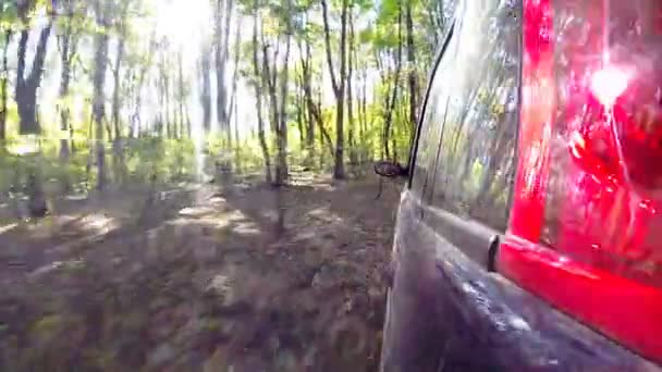 Coche conduciendo por el campo en el bosque profundo . — Vídeos de Stock