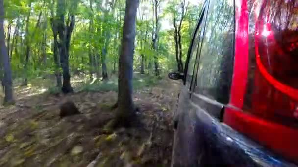 Carro dirigindo através do campo na floresta profunda . — Vídeo de Stock