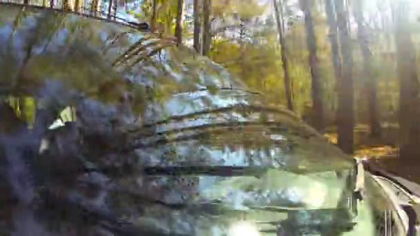 Водіння автомобіля, в лісі . — стокове відео