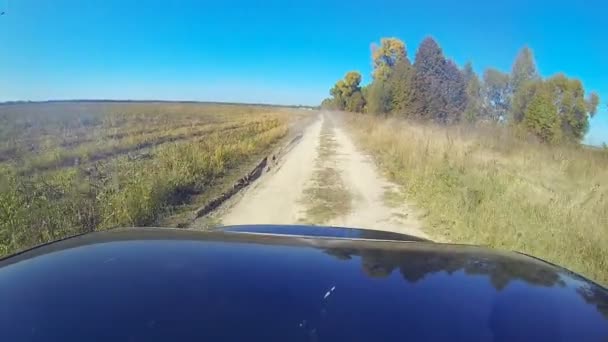 Fast kör bil på landsbygden. — Stockvideo