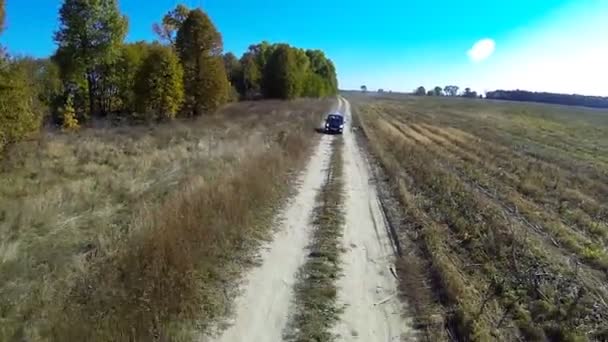 Landelijke weg met auto. — Stockvideo