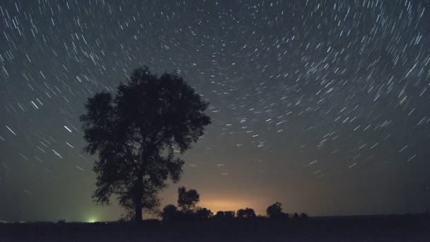 Árbol solitario startrails time lapse — Vídeo de stock