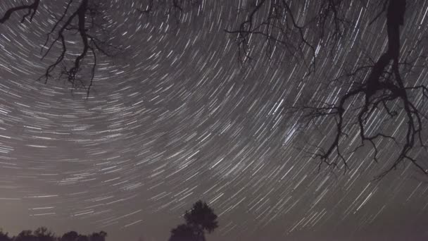 Desfasamento temporal das trilhas estelares em movimento — Vídeo de Stock