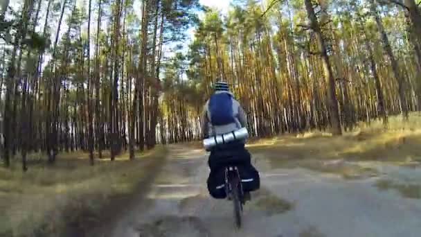Bisiklet Traveler — Stok video