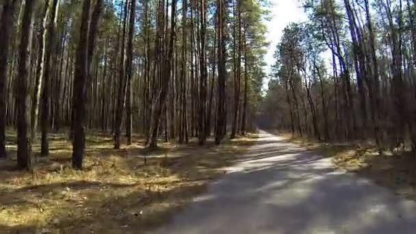 Велосипедні велосипедисти на заміській дорозі — стокове відео