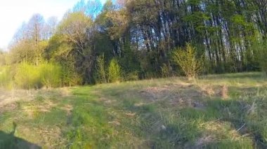 Bir araba gerçek kırsal sürüş.