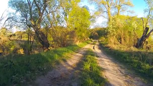 Conducir un coche verdadero campo . — Vídeo de stock