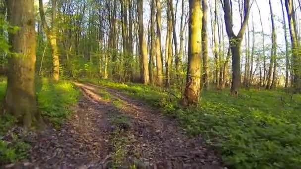 Conducir un coche verdadero campo . — Vídeo de stock