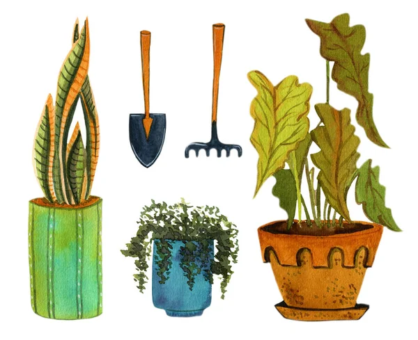 Aquarel Set Van Huis Planten Tuin Gereedschappen — Stockfoto