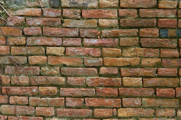 古代のレンガの壁ブラウン針テクスチャの背景 — ストック写真