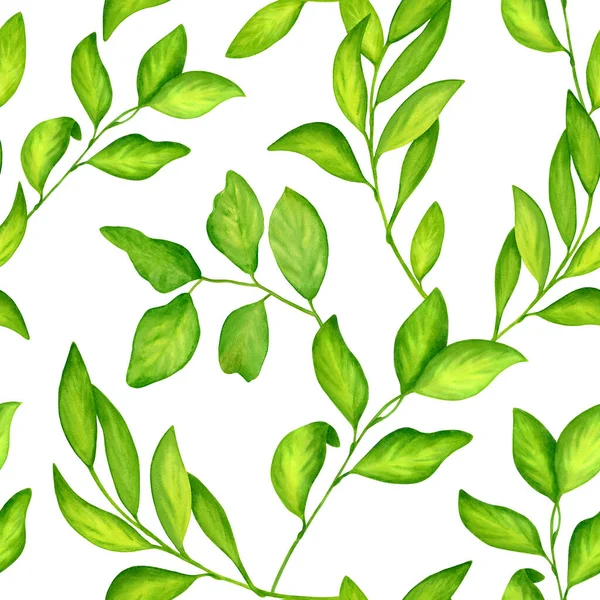 Acquerello verde foglie modello senza soluzione di continuità. Ramoscelli disegnati a mano e rami d'albero illustrazione isolata su sfondo bianco. Belle erbe verde brillante per il pacchetto, tessile, carte, decorazione. — Foto Stock