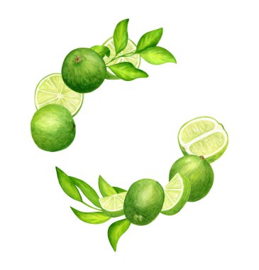 Suluboya taze limon ve yapraklı çelenk. Beyaz arka planda izole edilmiş yeşil narenciye meyvelerinin el çizimi. Davet, dekor, paket ve kartlar için yuvarlak kompozisyon.