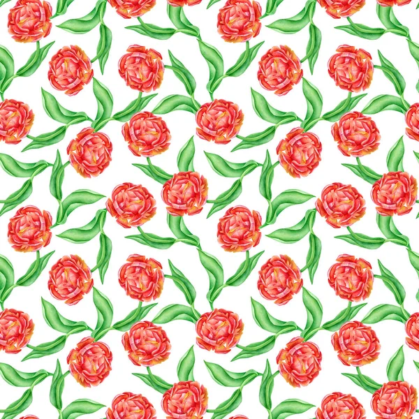 Aquarel naadloos patroon met rode pioenroos bloemen en bladeren. Met de hand getekende bloemenillustratie geïsoleerd op witte achtergrond. Plantaardige producten voor textiel, stoffen, behang, verpakking, scrapbooking. — Stockfoto