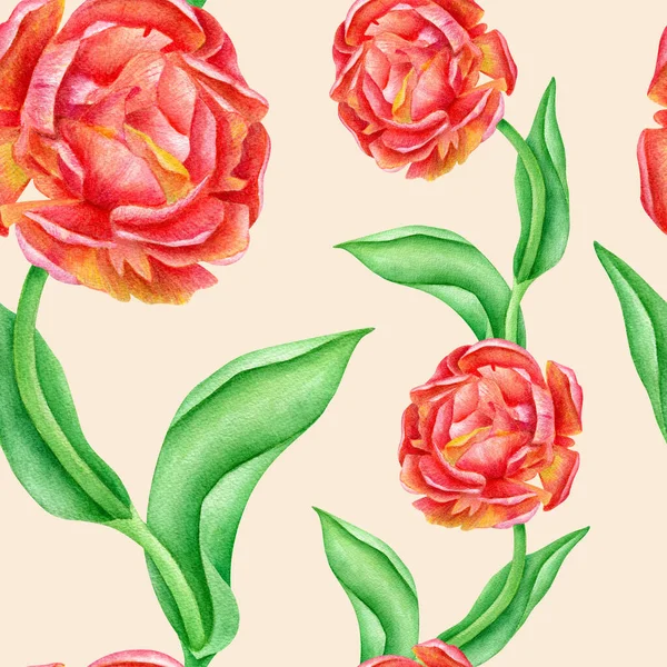 Acquerello modello senza soluzione di continuità con rose rosse e foglie. Fiori disegnati a mano su sfondo beige alla moda. Tessuto floreale per tessile, tessuti, carta da parati, imballaggio, scrapbooking, carte. — Foto Stock