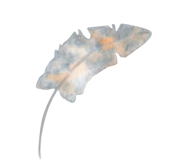 Φτερό Νερομπογιάς Χειροποίητη Πολύχρωμη Διακόσμηση Boho Που Απομονώνεται Λευκό Φόντο — Φωτογραφία Αρχείου