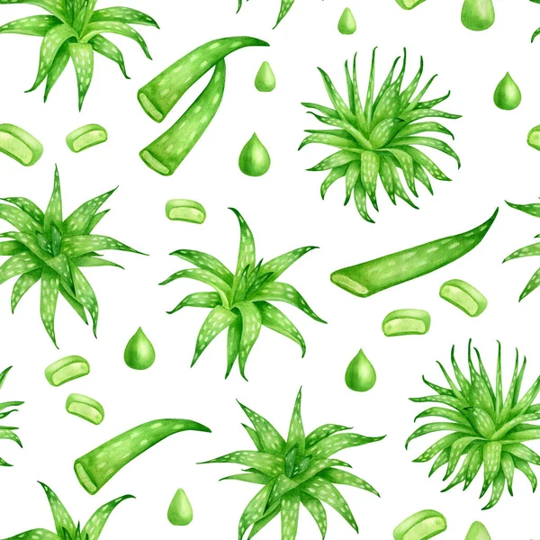 水彩アロエベラシームレスパターン 手描きの新鮮な多肉植物ハーブ アロエジュース滴 白い背景に隔離された葉のスライス 化粧品 パッケージ デザインのための植物デザイン — ストック写真