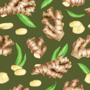Ginger kökü dikişsiz ve yapraklı. Koyu yeşil arka planda elle çizilmiş zencefil rhizomu. Mutfak tekstili, gıda ambalajı, menü, temel yağ tasarımı