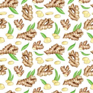 Ginger kökü dikişsiz ve yapraklı. Beyaz arka planda el yapımı zencefilli rhizome tasarımı izole edilmiş. Mutfak için botanik illüstrasyon, gıda ambalajı, menü, temel yağ