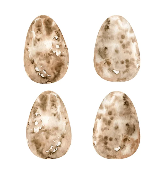 Suluboya bıldırcın yumurtası. Beyaz arka planda izole edilmiş, sıçrama desenli el yapımı yumurta. Sağlıklı protein besin maddesi. Güzel Paskalya süslemesi..