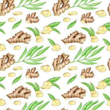 Zencefil kökü dikişsiz ve yapraklı suluboya desen. El yapımı zencefilli rhizome beyaz arka planda izole edilmiş. Baharatlı malzeme, menü için geleneksel şifalı bitki boyası, paket tasarımı