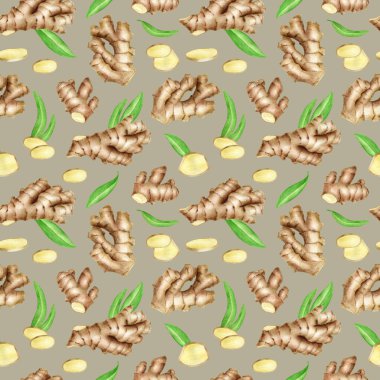 Ginger kökü dikişsiz ve yapraklı. Gri arka planda elle çizilmiş zencefil rhizomu. Mutfak tekstili için botanik tasarımı, gıda ambalajı, menü, temel yağ
