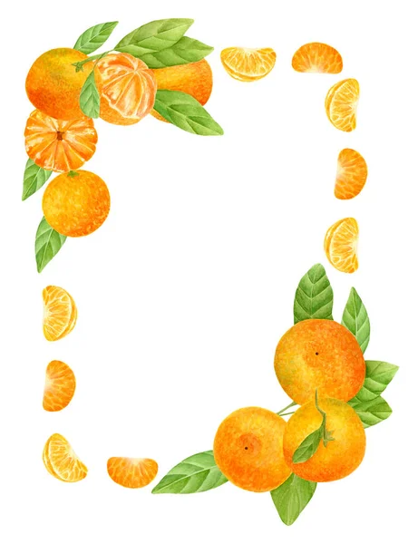 Vízfestékes mandarin keret. Kézzel rajzolt gyümölcs design narancs, szeletek és levelek. Citrus függőleges sablon banner packagong, kártyák elszigetelt fehér alapon. — Stock Fotó