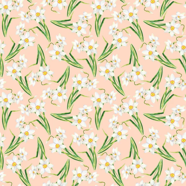 水彩のシームレスなパターンとナルシスの花 手でパステルピンクの背景に白い水仙を描いた 春の花 壁紙のためのエレガントな女性的な花のデザイン — ストック写真