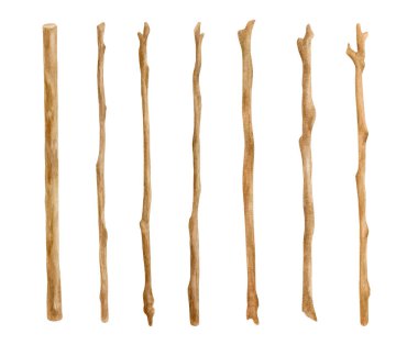 Watercolor wooden sticks set. Hand drawn tree branches isolated on white. Bare twigs decoration, wood trunks, rustic natural design.