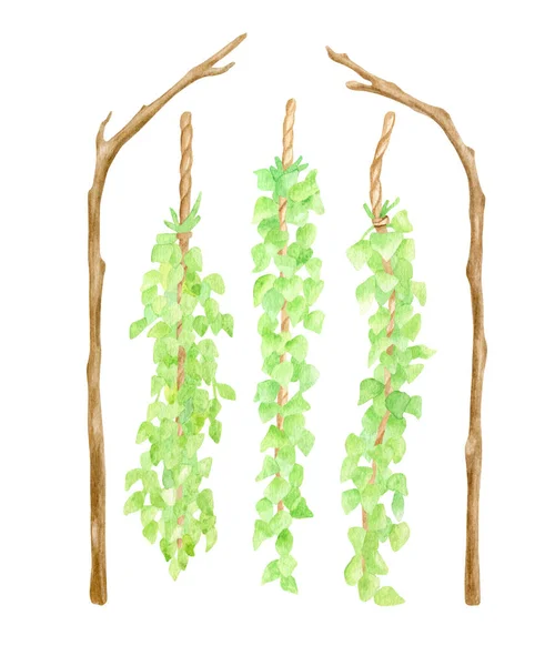 Υδατογραφία ξύλινη γαμήλια αψίδα με πράσινο. Χειροποίητα γυμνά κλαδιά δέντρων και κρεμασμένα φύλλα γιρλάντα που απομονώνονται στο λευκό. Ξύλινα κλαδιά, floral διακόσμηση τοίχων, ρουστίκ σχεδίαση, οικολογική διακόσμηση εικονογράφηση. — Φωτογραφία Αρχείου