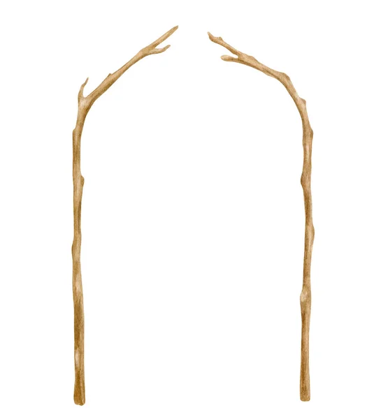 水彩木婚礼拱门 手拉着赤裸的树枝 与白色隔离 木枝装饰 乡村自然设计 生态装饰图解 — 图库照片