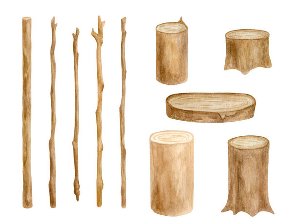 Watercolor wood sticks and stumps set. Hand drawn tree branches, wooden slice isolated on white. Bare twigs decoration, rustic natural eco style design