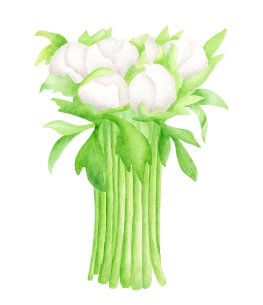 Akvarel Bílé Pivoňkové Květy Listy Ručně Kreslené Svatební Kytice Izolované — Stock fotografie
