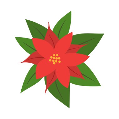 Poinsettia çiçek vektör çizimi. Kırmızı ve yeşil şenlik bitkisi beyaz arka planda izole edilmiş. Geleneksel Noel çiçek desenleri. Tatil kartları ve kış tasarımları için düz çizgi film tarzında.