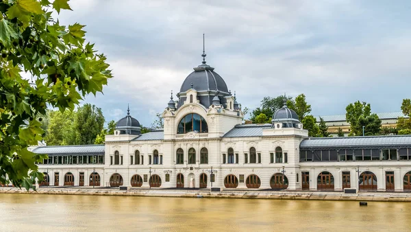 Vue Sur Bâtiment Parc Budapest Hongrie — Photo