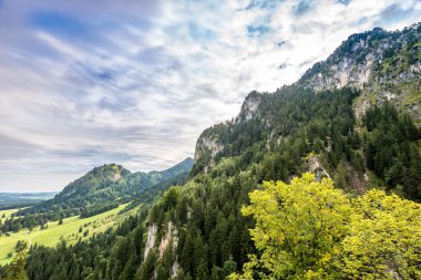 Neuschwanstein Şatosu göster