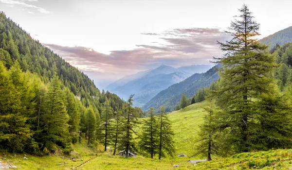 Ochtend bij de forclaz pass — Stockfoto