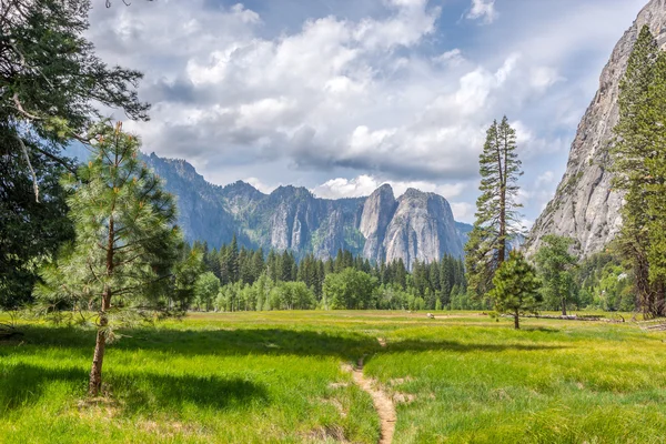 Meadows in Yosemite Valley — Stock Photo, Image