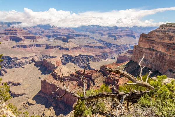 Borde norte del Gran Cañón - Vista desde el punto de Mohave — Foto de Stock