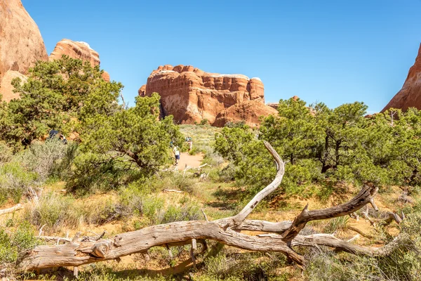 Trail in Devils Garden — Stock Photo, Image