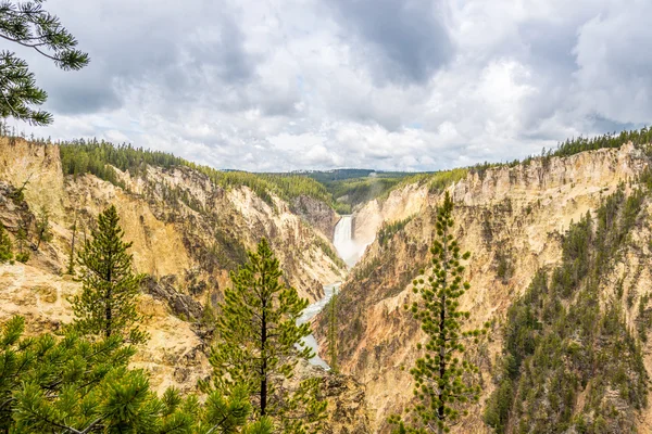 Yellowstone falls in National Park — Stock fotografie