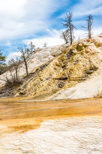 Mammoth Hot Springs in Yellowstone N.P. — 图库照片