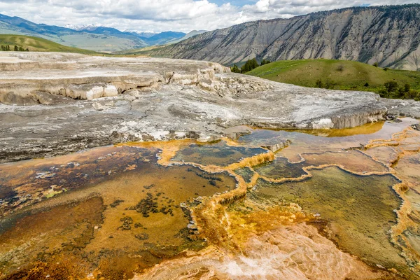 Minerva Terrace in Yellowstone N.P. — 图库照片