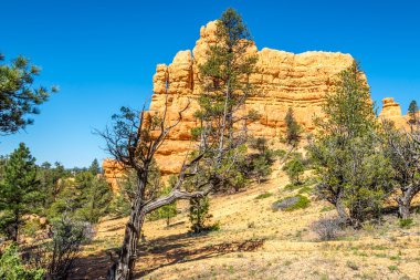 Rock Formations of Red Canyon