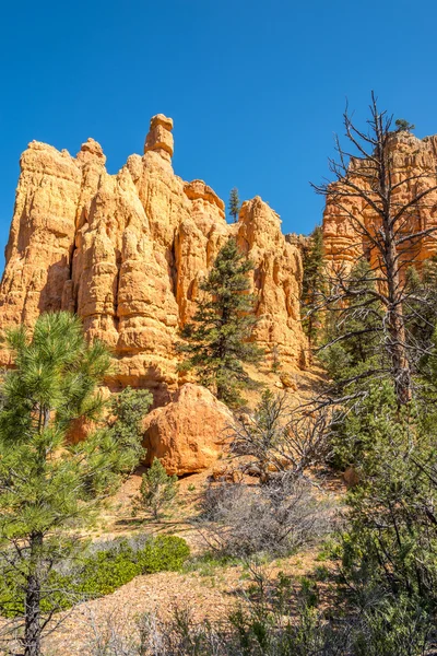 Rock Formations of Red Canyon — Stock Fotó