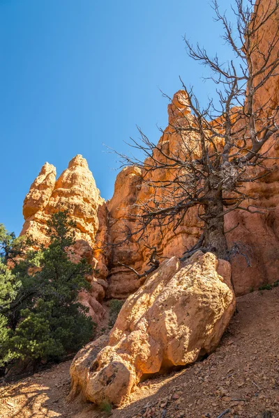 Red Canyon - Rock Formations — Stock Photo, Image