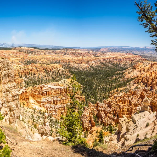 Bryce Canyon - View from Bryce point — Stock Photo, Image