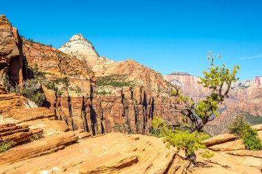 Kaya oluşumu, Zion Canyon Overlook iz N.P.