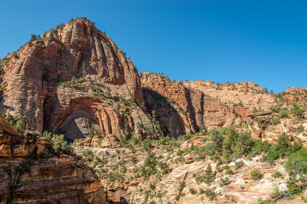 Canyon Overlook Trail - Zion N.P.
.